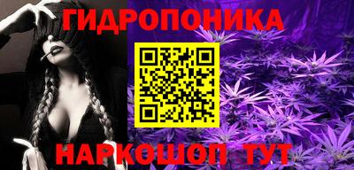 a pvp Сланцы