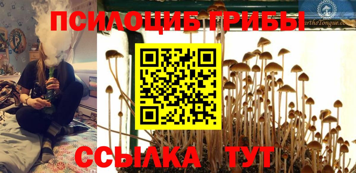Галлюциногенные грибы Psilocybine cubensis  Псилоцибиновые грибы мухоморы  Вход с VPN  Псков 