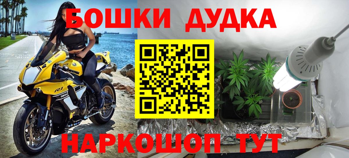 Конопля марихуана Псков